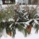 Winterwindowbox