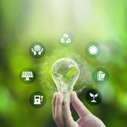 Hand holding and glowing light bulb